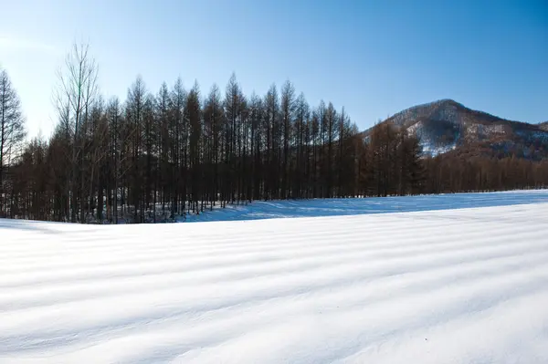 Paesaggio invernale — Foto Stock