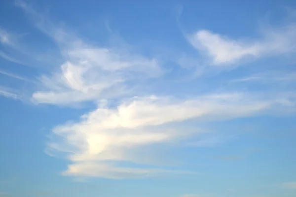 Ciervo cielo azul y nubes —  Fotos de Stock