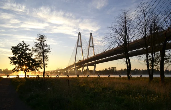 Kabel-stagade bron över floden neva — Stockfoto