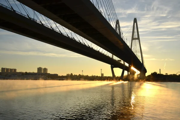 Puente sujetado por cable sobre el río Neva — Foto de Stock