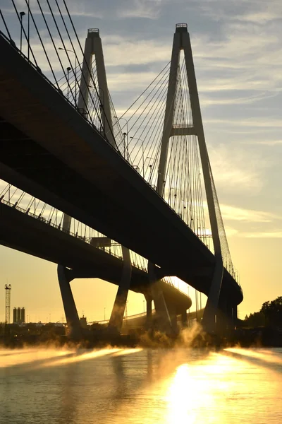 Puente sujetado por cable sobre el río Neva — Foto de Stock