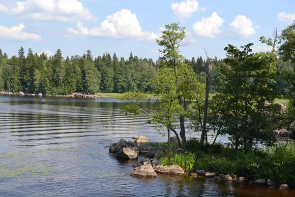 Mon Repos park — Stock fotografie