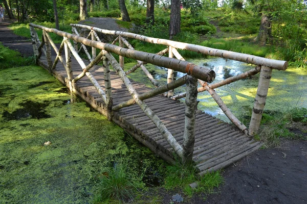 Träbro — Stockfoto