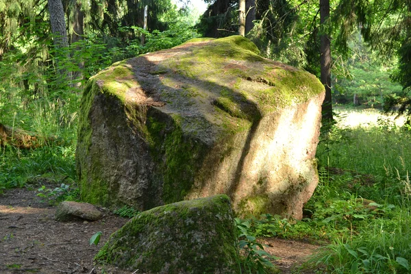 Pedra no musgo — Fotografia de Stock