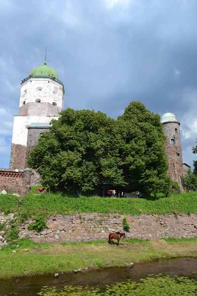 Zamek w Wyborgu — Zdjęcie stockowe