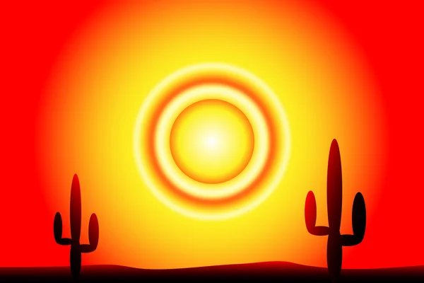 Puesta de sol en el desierto con plantas de cactus — Vector de stock