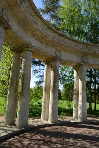 Apollo colonnade in Pavlovsk park — Stockfoto