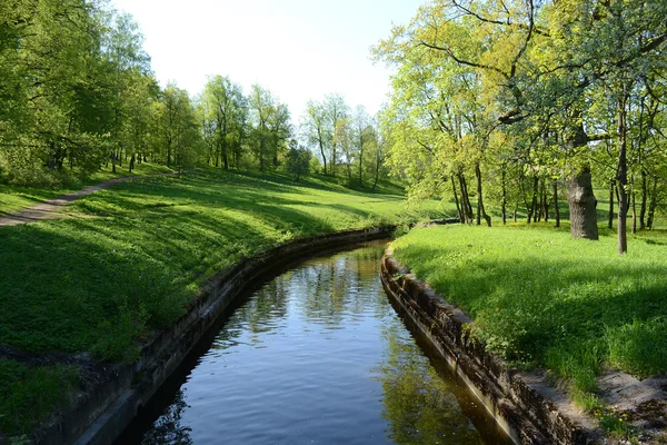 Zomer park — Stockfoto