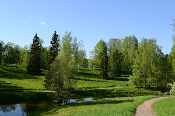 Sommerpark — Stockfoto