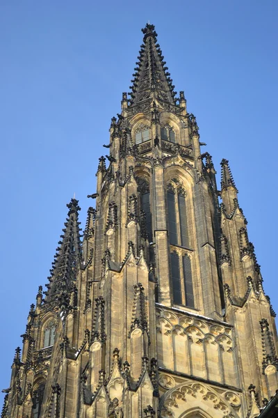 Sint-Vituskathedraal — Stockfoto