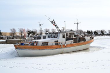 Kotka içinde kış yat