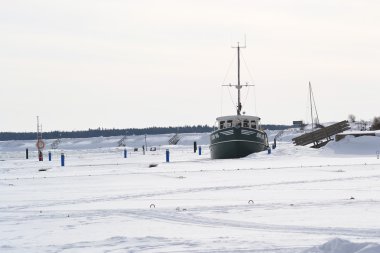 kotka içinde donmuş göl