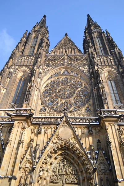 Cathédrale Saint-Vitus — Photo