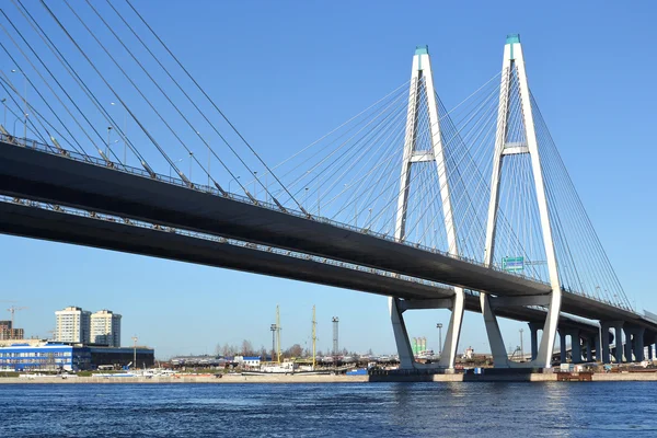 Ponte Cable-Stayed em São Petersburgo — Fotografia de Stock