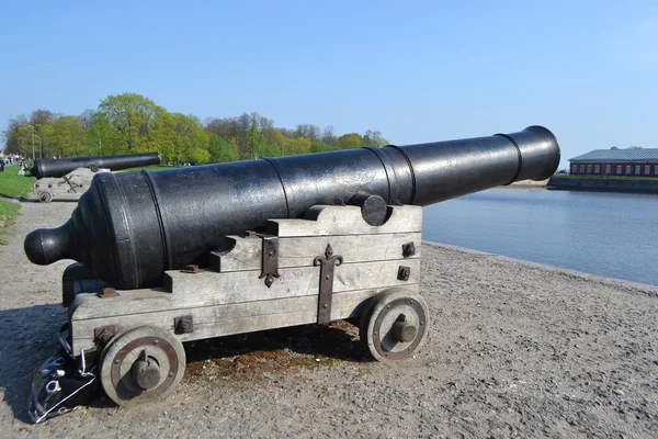 Rus Anıtı cannon — Stok fotoğraf