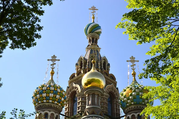 Cathédrale Spas-na-krovi encadrée de feuilles vertes — Photo