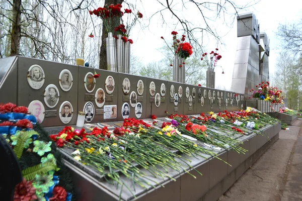 War memorial on Sinyavino Heights — Stock Photo, Image