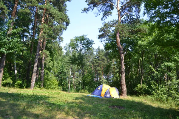 キャンプ場のテントと森林 — ストック写真