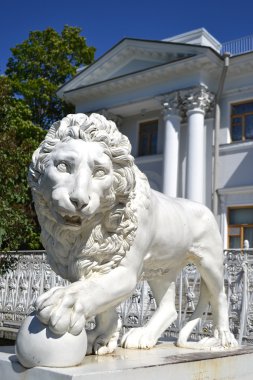 yelagin Sarayı'nda aslan heykeli