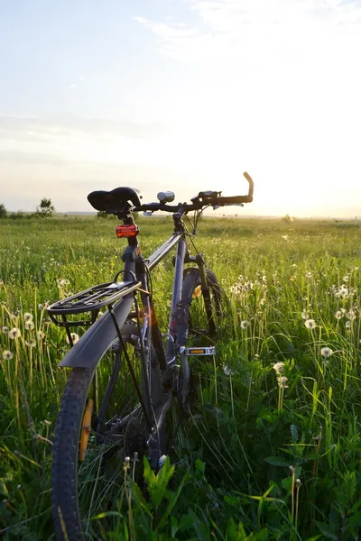 Велосипед на поле — стоковое фото