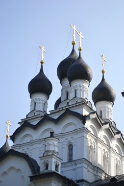 Rus Ortodoks Kilisesi