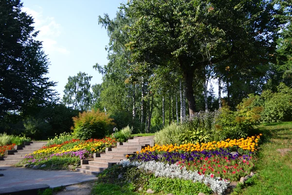 Zelenogorsk の公園 — ストック写真