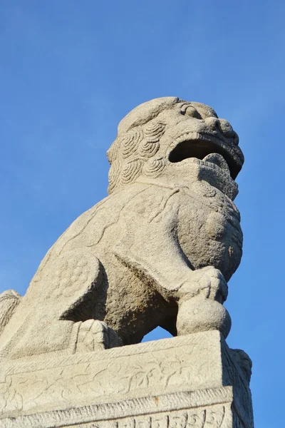 Escultura china Shih tsza en San Petersburgo . — Foto de Stock