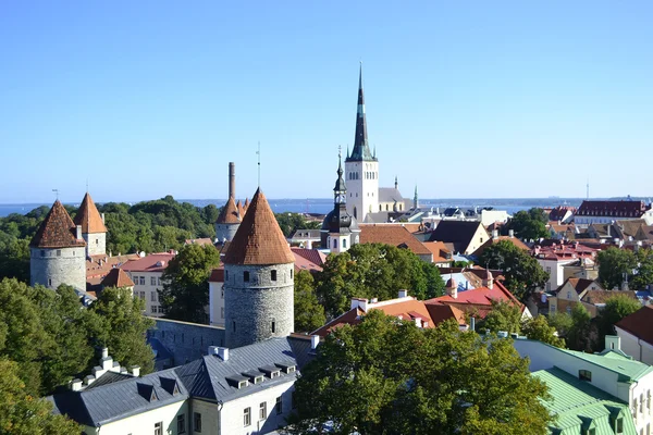 Die Altstadt von Tallinn — Stockfoto