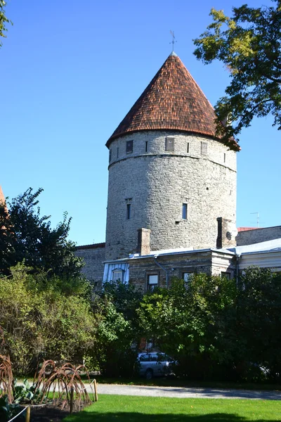 Stå hög av stadsmuren i tallinn — Stockfoto