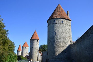 town wall Tallinn kuleleri