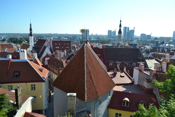 Old Town in Tallinn — Stock Photo, Image