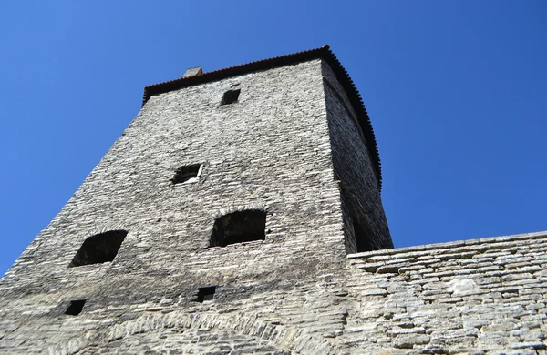 Башта міського муру в Таллінні — стокове фото