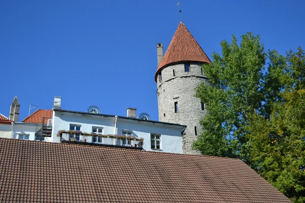 Gamla stan i Tallinn — Stockfoto