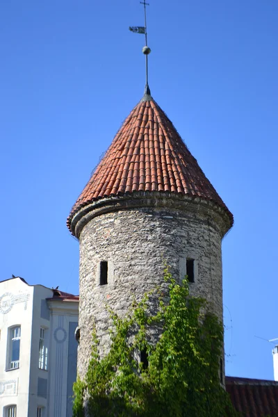Toren van de stadsmuur in tallinn — Stockfoto