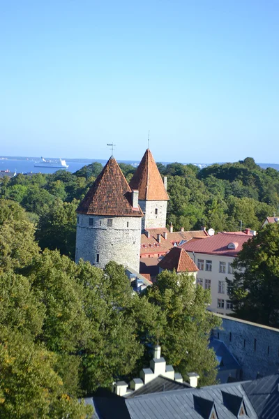 Старе місто Таллінна. — стокове фото