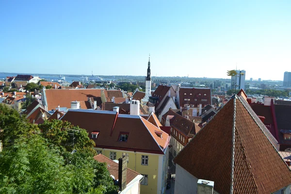 Oude binnenstad van Tallinn — Stockfoto