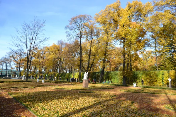 Jardim de Verão em São Petersburgo — Fotografia de Stock