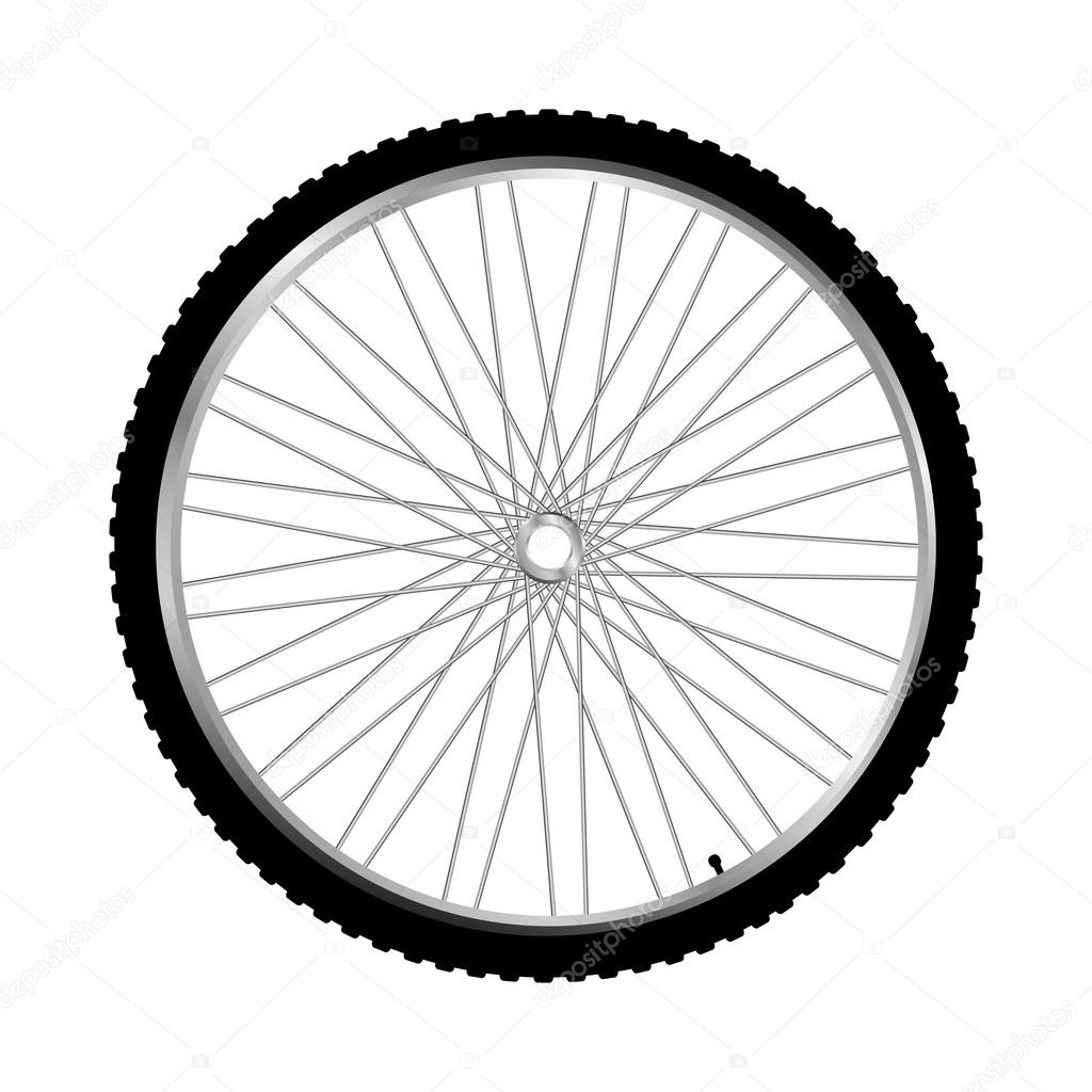 Bicycle wheel, vector