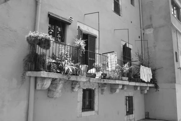 Balcony with pots and flowers — Stock Photo, Image