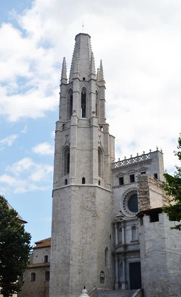 Vista da catedral em Girona . — Fotografia de Stock