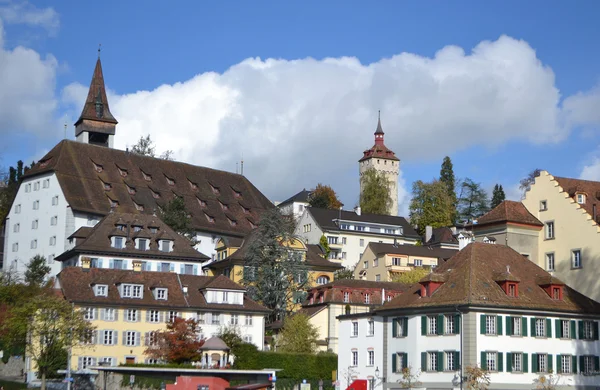 Luzerne — Stockfoto