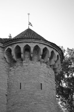 Tower town Wall Tallinn