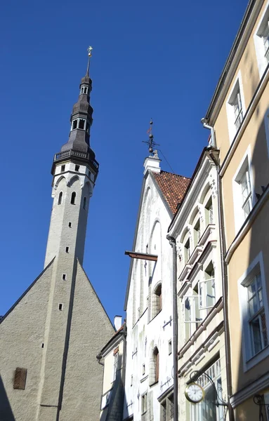 Tallinn Town Hall — Stock Photo, Image