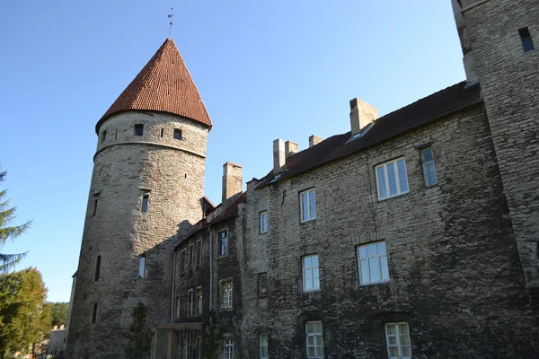 Stå hög av stadsmuren i tallinn — Stockfoto