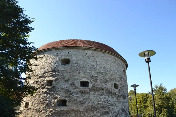Wieża murów w Tallinnie — Zdjęcie stockowe