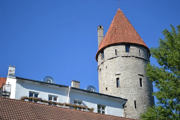 Toren van de stadsmuur in tallinn — Stockfoto