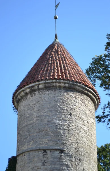 Torre de la muralla de Tallin — Foto de Stock