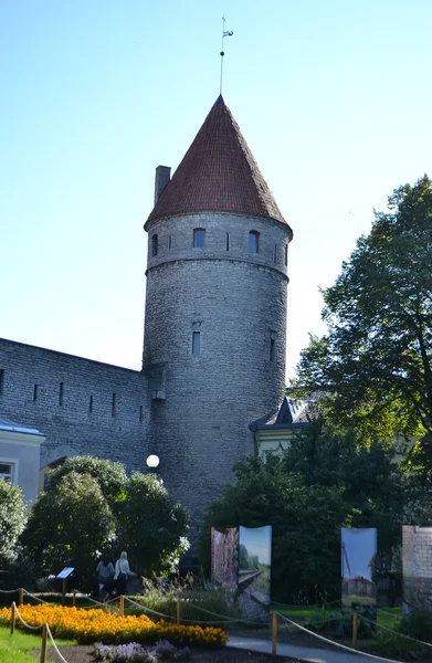 Toren van de stadsmuur in tallinn — Stockfoto