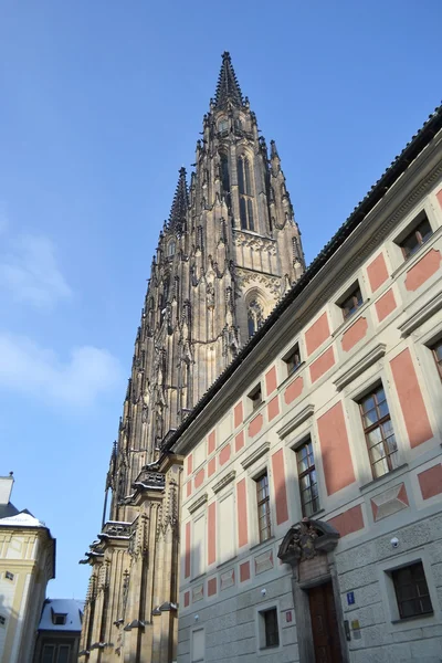 Sint-Vituskathedraal — Stockfoto