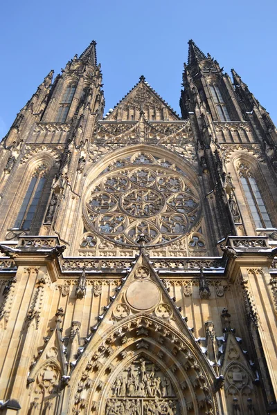 Sint-Vituskathedraal — Stockfoto